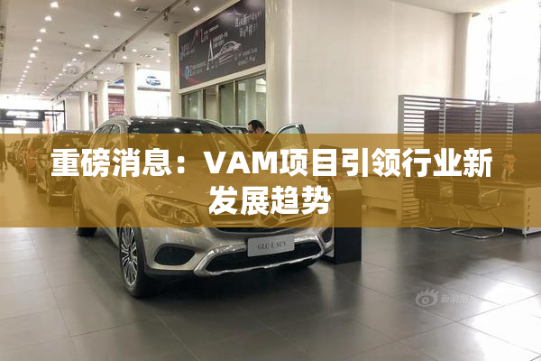 重磅消息：VAM项目引领行业新发展趋势