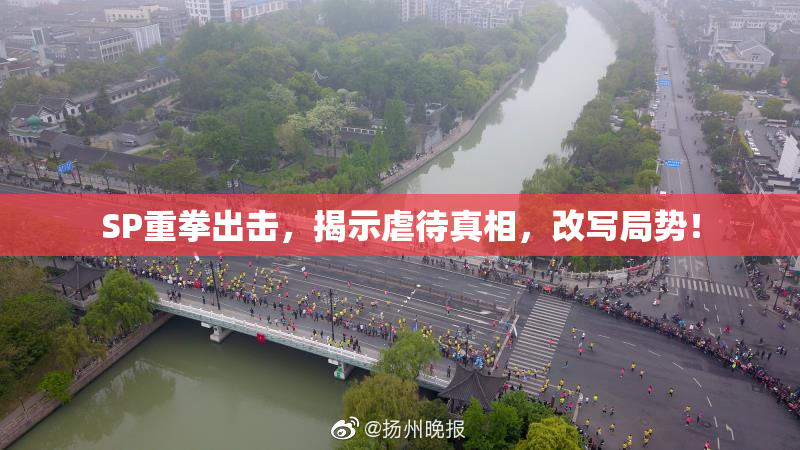 SP重拳出击，揭示虐待真相，改写局势！