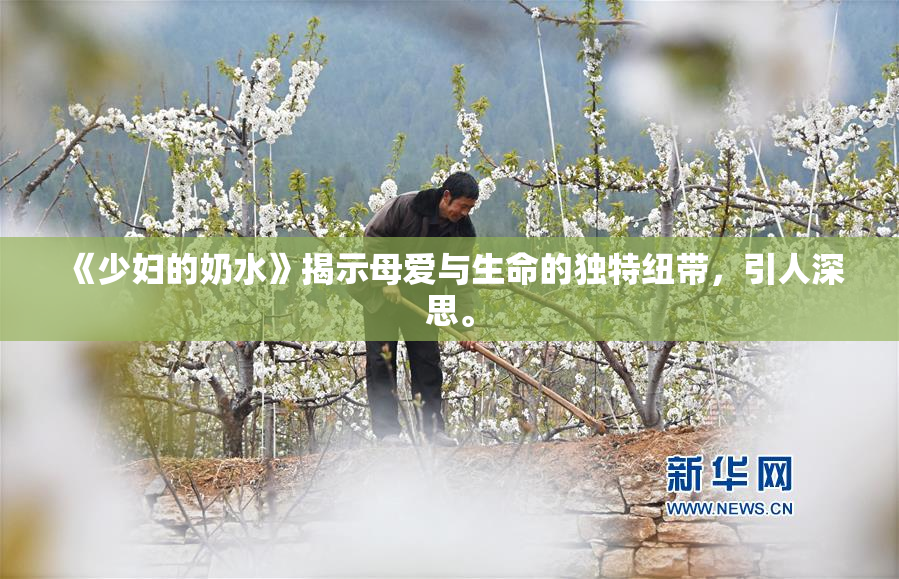 《少妇的奶水》揭示母爱与生命的独特纽带，引人深思。