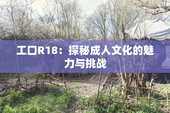 工口R18：探秘成人文化的魅力与挑战