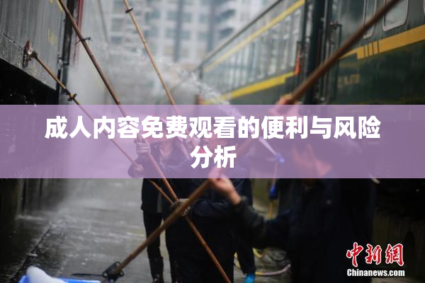成人内容免费观看的便利与风险分析