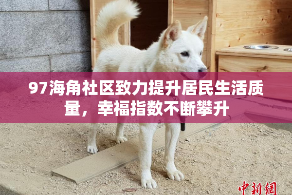 97海角社区致力提升居民生活质量，幸福指数不断攀升