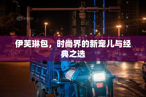 伊芙琳包，时尚界的新宠儿与经典之选