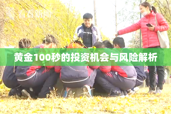 黄金100秒的投资机会与风险解析