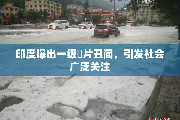 印度曝出一级婬片丑闻，引发社会广泛关注