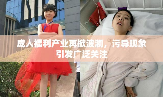 成人福利产业再掀波澜，污导现象引发广泛关注