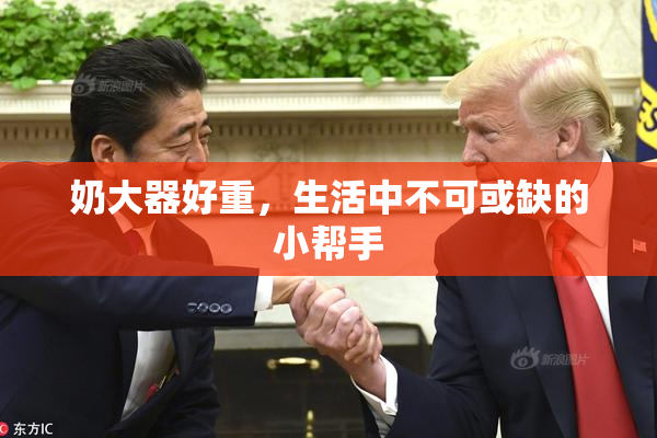 奶大器好重，生活中不可或缺的小帮手