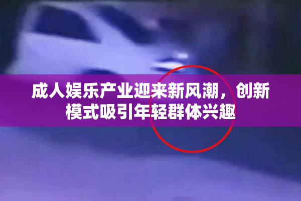 成人娱乐产业迎来新风潮，创新模式吸引年轻群体兴趣