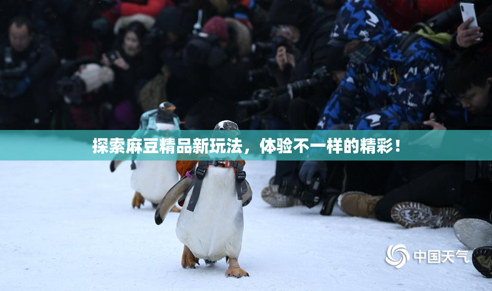 探索麻豆精品新玩法，体验不一样的精彩！