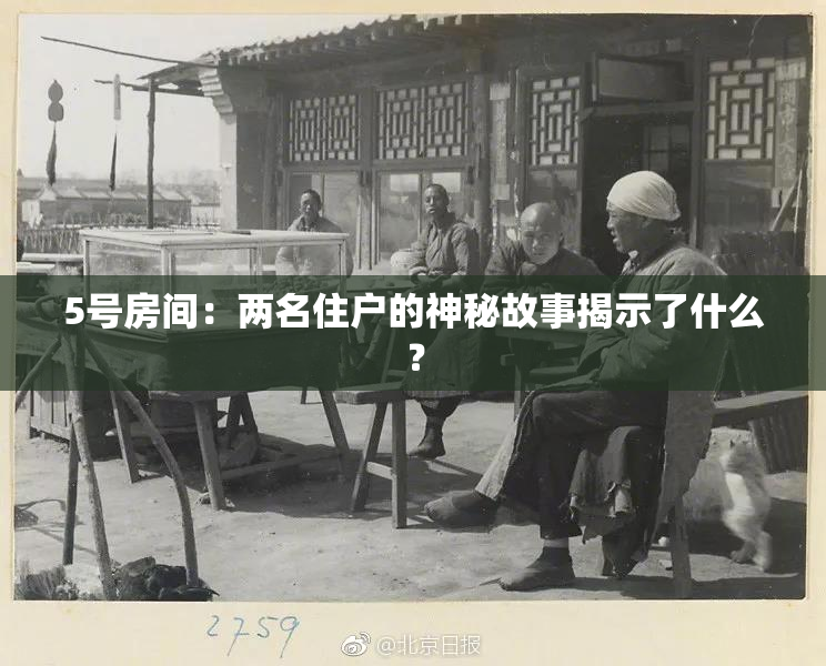 5号房间：两名住户的神秘故事揭示了什么？