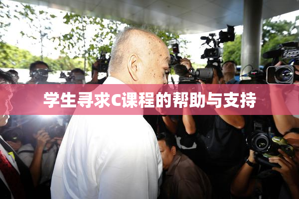 学生寻求C课程的帮助与支持