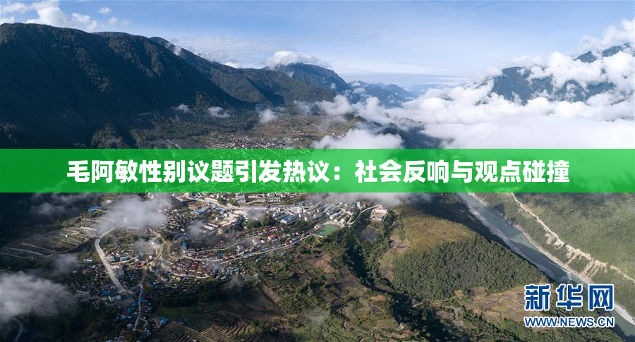 毛阿敏性别议题引发热议：社会反响与观点碰撞