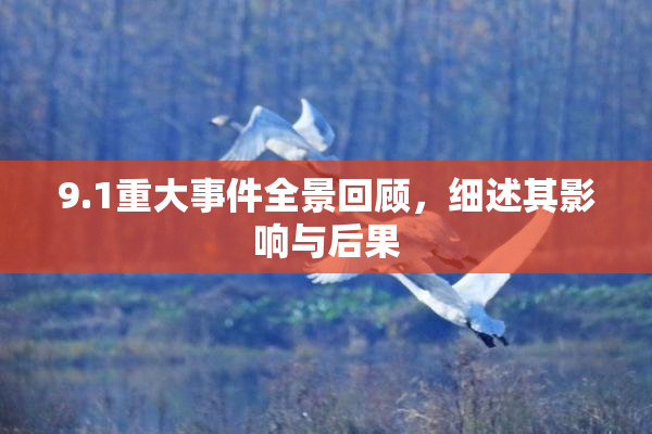 9.1重大事件全景回顾，细述其影响与后果