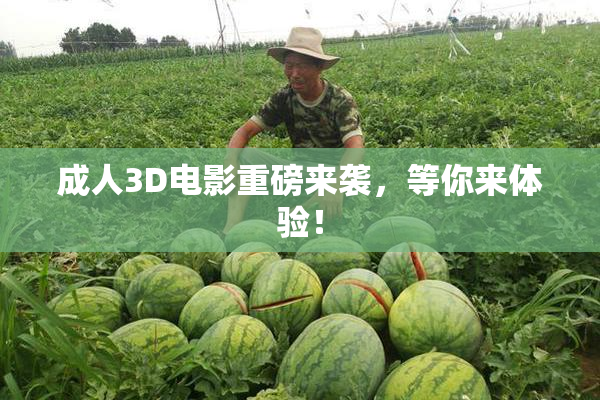 成人3D电影重磅来袭，等你来体验！