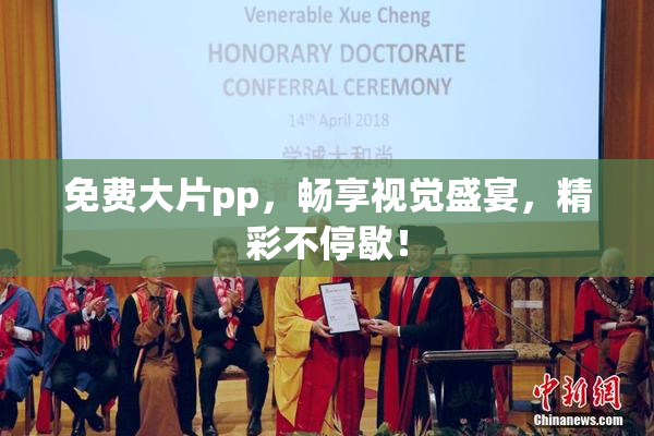 免费大片pp，畅享视觉盛宴，精彩不停歇！