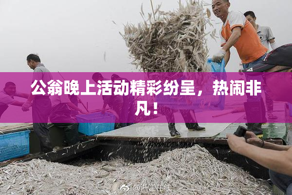 公翁晚上活动精彩纷呈，热闹非凡！