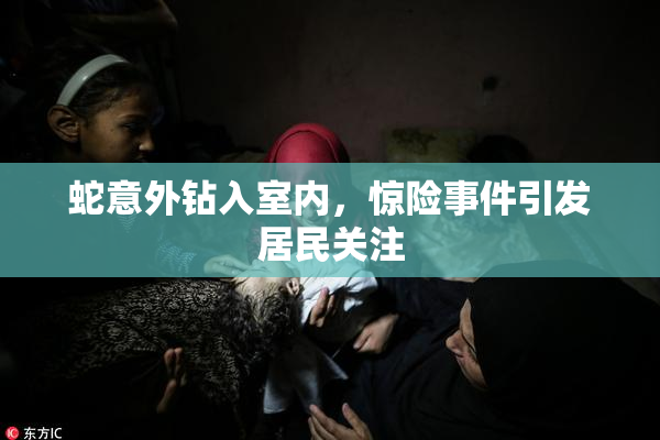 蛇意外钻入室内，惊险事件引发居民关注