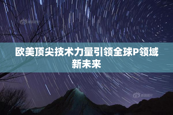 欧美顶尖技术力量引领全球P领域新未来