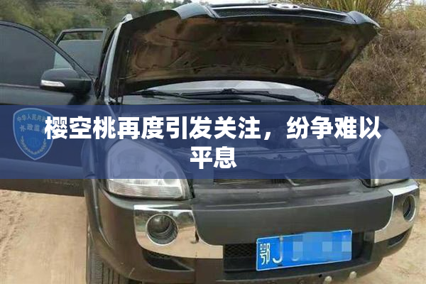 樱空桃再度引发关注，纷争难以平息