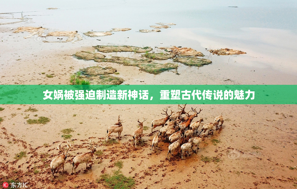 女娲被强迫制造新神话，重塑古代传说的魅力