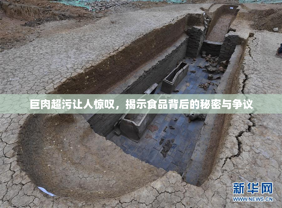 巨肉超污让人惊叹，揭示食品背后的秘密与争议