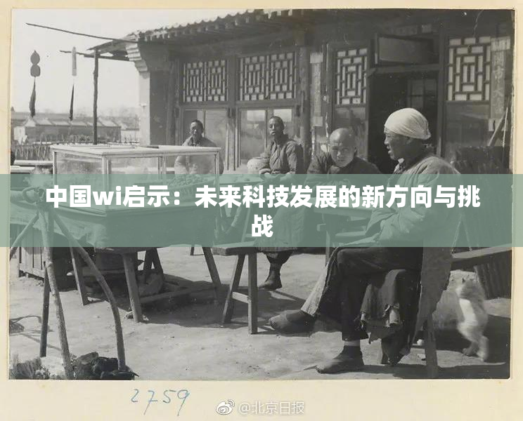 中国wi启示：未来科技发展的新方向与挑战