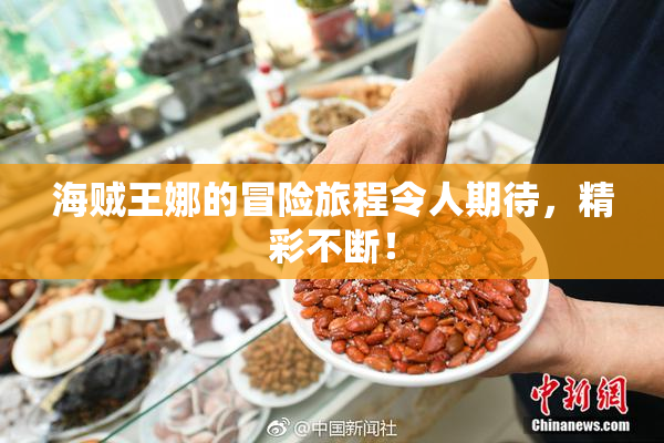 海贼王娜的冒险旅程令人期待，精彩不断！