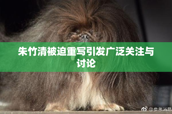 朱竹清被迫重写引发广泛关注与讨论