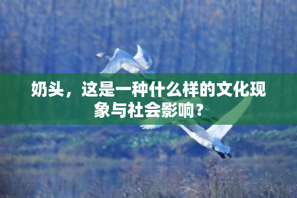 奶头，这是一种什么样的文化现象与社会影响？