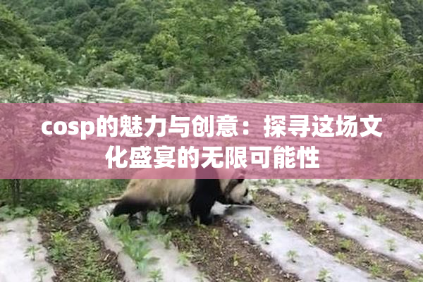 cosp的魅力与创意：探寻这场文化盛宴的无限可能性