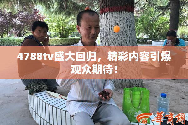 4788tv盛大回归，精彩内容引爆观众期待！