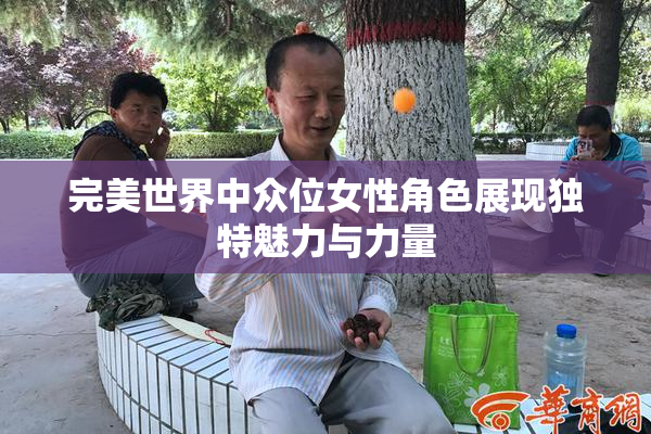 完美世界中众位女性角色展现独特魅力与力量