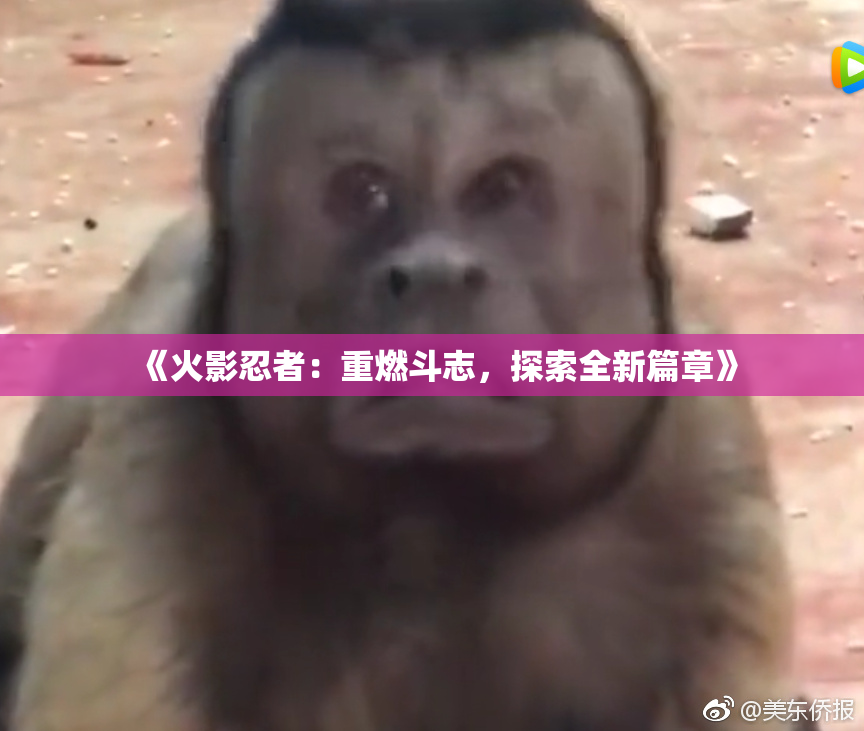 《火影忍者：重燃斗志，探索全新篇章》