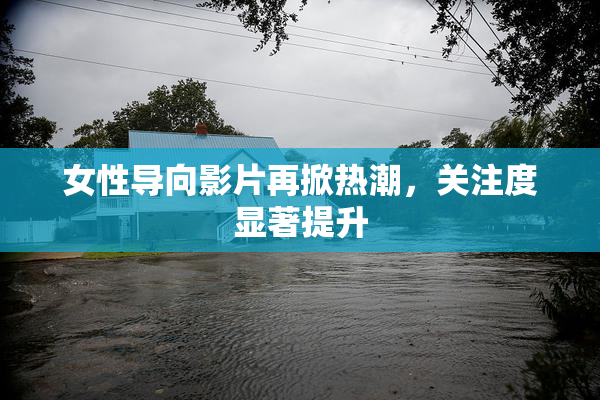 女性导向影片再掀热潮，关注度显著提升