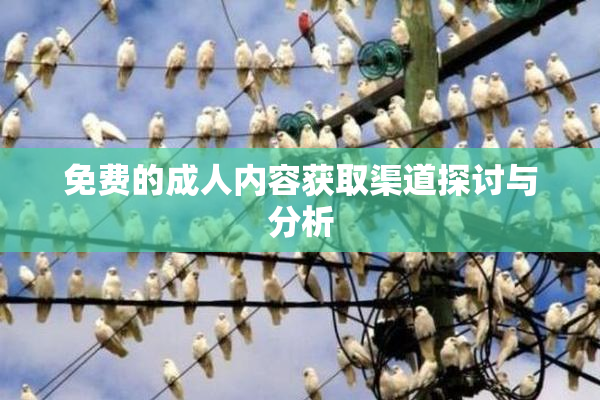 免费的成人内容获取渠道探讨与分析