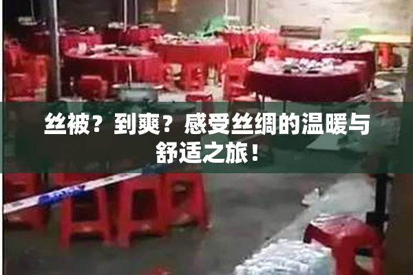 丝被？到爽？感受丝绸的温暖与舒适之旅！