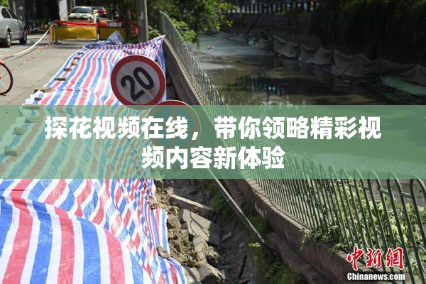 探花视频在线，带你领略精彩视频内容新体验