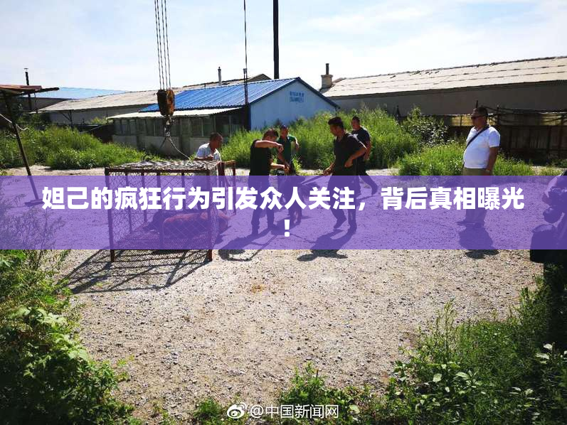 妲己的疯狂行为引发众人关注，背后真相曝光！