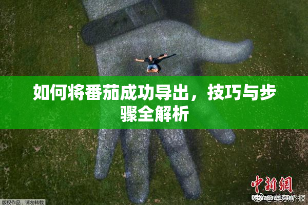 如何将番茄成功导出，技巧与步骤全解析