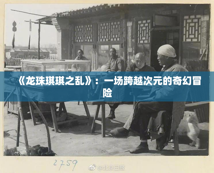 《龙珠琪琪之乱》：一场跨越次元的奇幻冒险