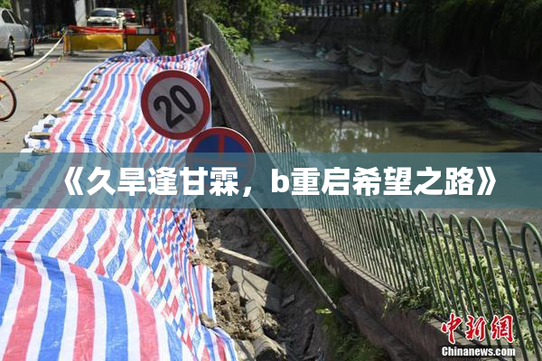 《久旱逢甘霖，b重启希望之路》