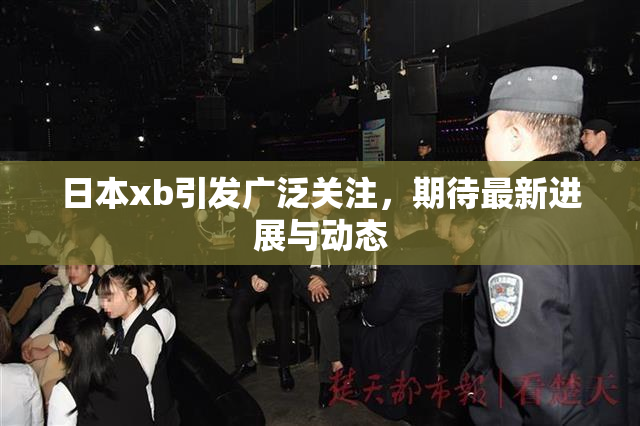 日本xb引发广泛关注，期待最新进展与动态