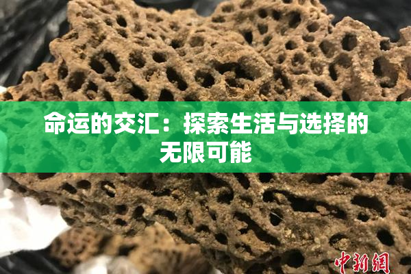 命运的交汇：探索生活与选择的无限可能
