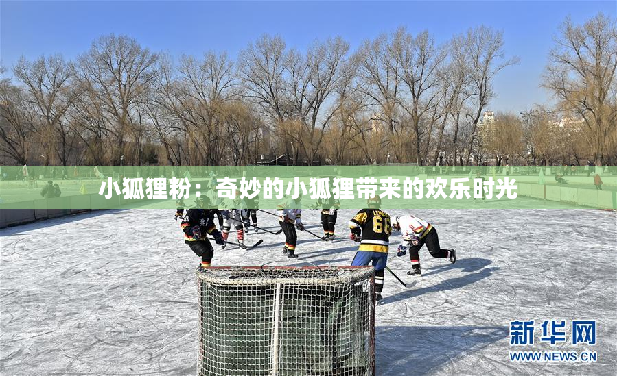 小狐狸粉：奇妙的小狐狸带来的欢乐时光