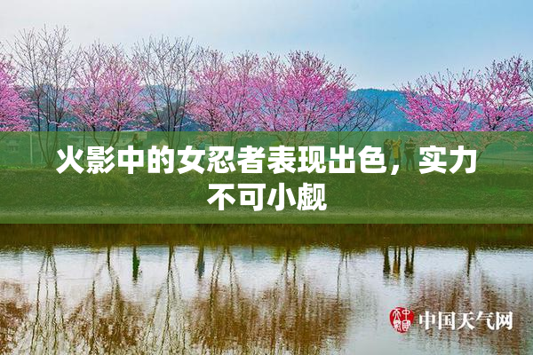 火影中的女忍者表现出色，实力不可小觑