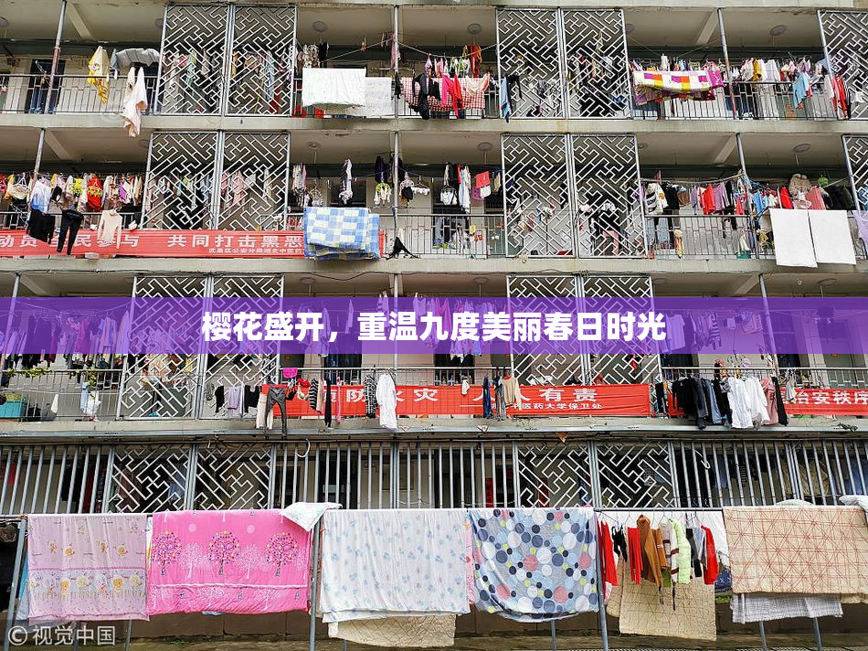 樱花盛开，重温九度美丽春日时光