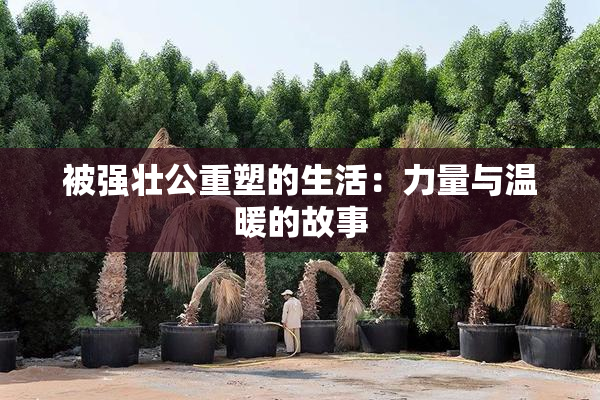 被强壮公重塑的生活：力量与温暖的故事