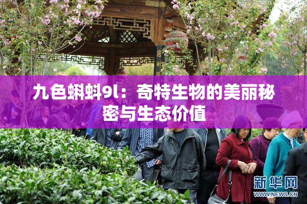 九色蝌蚪9l：奇特生物的美丽秘密与生态价值