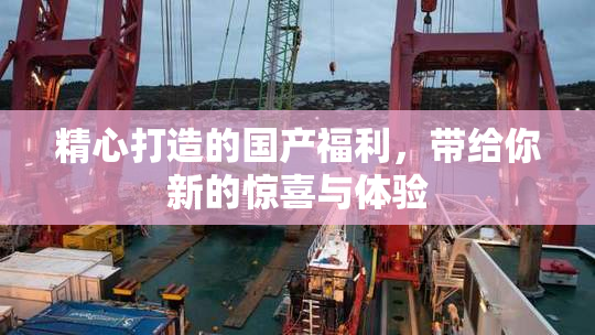 精心打造的国产福利，带给你新的惊喜与体验