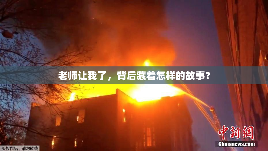 老师让我了，背后藏着怎样的故事？